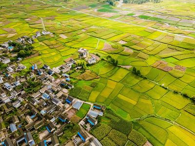 大理“凤羽大地艺术谷”获评2021“文旅好品牌”·目的地好品牌