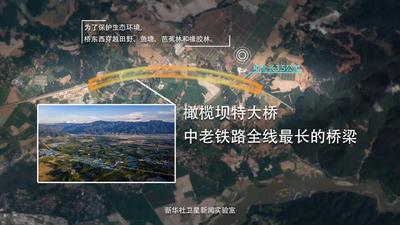 卫星图解中老铁路：“山川奇迹”是如何铸就的