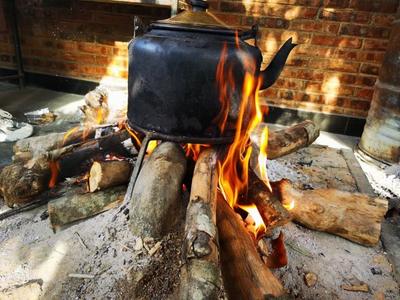 西双版纳忆茶香 | 品一杯茶 游一座山