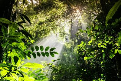 “象”往之地的高“反差萌” 这样的西双版纳必须安利！