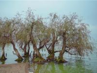 图集 | 捞鱼河湿地公园 漫步林间 亲水观湖