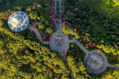 坐上火车去旅行，普洱应该怎么玩？