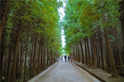 图集 | 捞鱼河湿地公园 漫步林间 亲水观湖