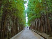 图集 | 捞鱼河湿地公园 漫步林间 亲水观湖
