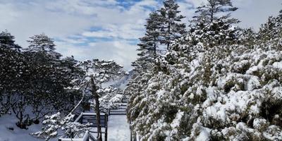 昆明品质游推荐 | 轿子雪山一日游 走进“春城”北国风光
