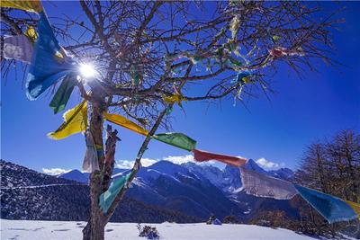 冬游香格里拉｜天地间有一座白马雪山 那是我守望的地方  