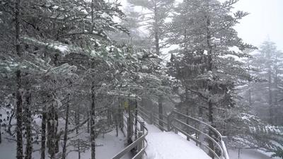 视频 | 轿子雪山 赏雪玩雪体验雪中乐趣