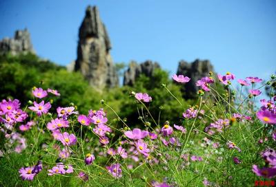 就爱去云南丨昆明石林一日游 邂逅一段时间奇迹