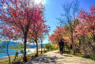 【过年在玉溪】来抚仙湖，追寻星光，向往“大海”…...
