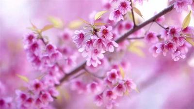 什么是暖冬里的“调色板”？来看看普洱就知道啦！