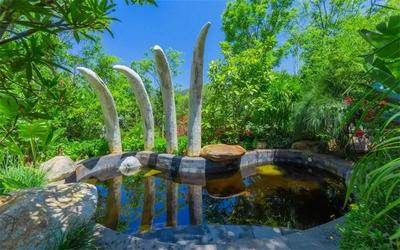 就爱去云南丨冬天开“泡”，楚雄最强温泉攻略来了