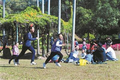 元旦假期广州接待市民游客逾466万人次