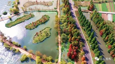喜讯！玉溪江川星云湖国家湿地公园试点建设通过国家验收