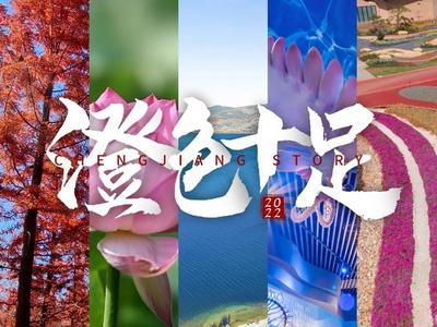 【澄色十足】带你领略玉溪澄江的五彩冬季
