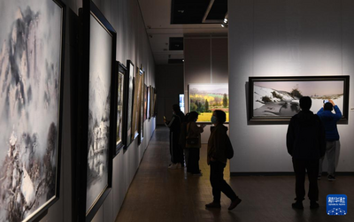“山川魂魄——中国南方油画山水研究展”海口开展