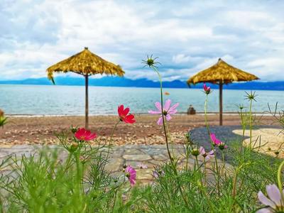 即刻出发，打卡抚仙湖冬日限定美景！  