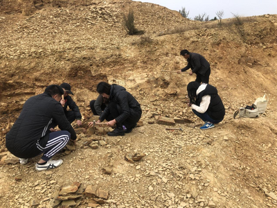 玉溪市博物馆馆藏澄江寒武纪古生物化石整理研究课题通过评审验收
