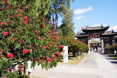 冬日游建水 尽享休闲时光