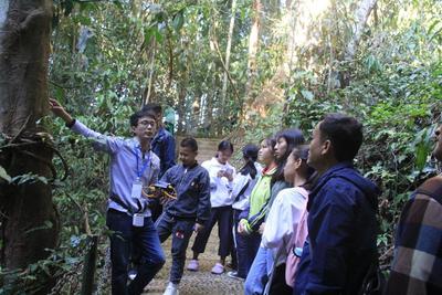 望天树景区拟入选云南科普基地 探索雨林深处的秘密