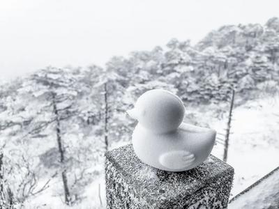 【美丽大理】冬日的苍山美成了童话 赶紧来赏雪吧！