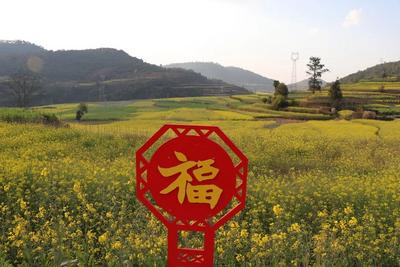 【过年在玉溪】赏油菜花、观奇景、品美食……峨山塔甸的这些村落，藏着你想要的田园慢生活！