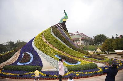 就地过年怎么玩，昆明周边景区热闹非凡