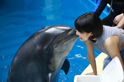 【福虎迎春 潮玩大理】景区优惠，这篇全了