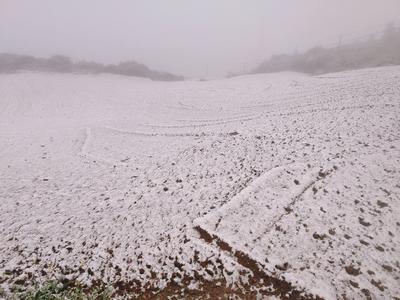 当泸西下雪，红河各地开始“争宠”！