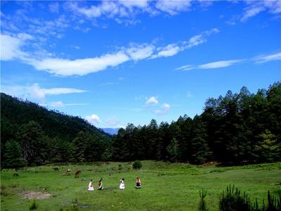罗古箐风景名胜区，一场不能错过的视觉盛宴