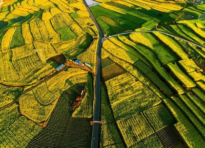 【过年在玉溪】赏油菜花、观奇景、品美食……峨山塔甸的这些村落，藏着你想要的田园慢生活！