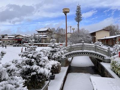 【图集】2022年，香格里拉第一场美丽而清静的雪