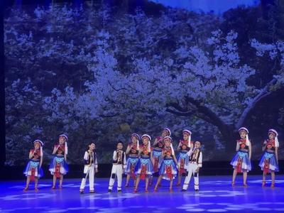 【喜讯】大理州群众艺术馆编排辅导的2个节目在第十届全国残疾人艺术汇演（西部片区）获奖