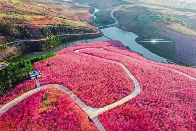 就爱去云南丨七彩云南，天然氧吧，云南5地“中国天然氧吧”等你来打卡！