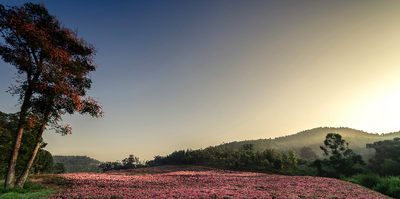 【过年在玉溪】提前剧透！春节畅游红塔区指南来了