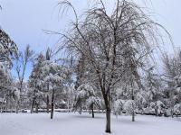 【图集】2022年，香格里拉第一场美丽而清静的雪