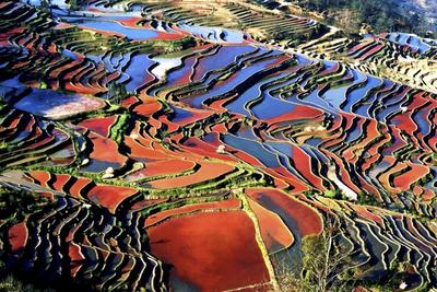 虎年贺新春：带你去红河景区过春节