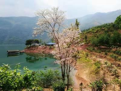 沧江对岸是景东