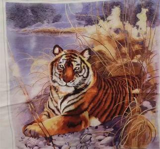 藏历水虎年 寻找香格里拉“虎”元素