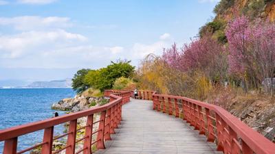 廊道漫步，邂逅美丽抚仙湖！