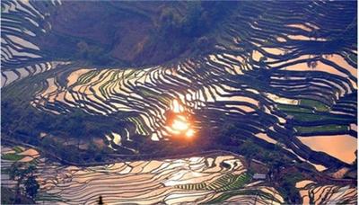 冬日，等你一起遇见哈尼梯田的1300年
