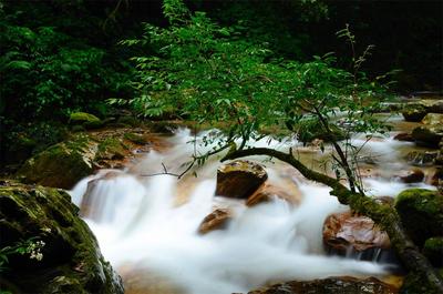 【过年在玉溪】春节哪里去？自驾游新平！