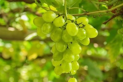 叮~ 弥勒新春明信片已送达！