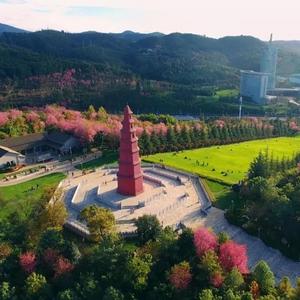 【过年在玉溪】提前剧透！春节畅游红塔区指南来了