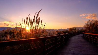 廊道漫步，邂逅美丽抚仙湖！