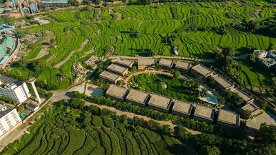 跟着中老铁路游玉溪丨“一日一景”——新平花腰田间