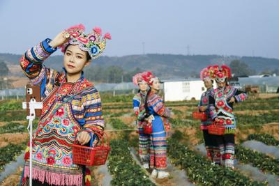 云秀永仁—中国永仁2022直苴赛装节抖音挑战赛启幕啦！大奖等你来拿！                      