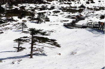 金飞豹：轿子雪山，是我梦想开始的地方