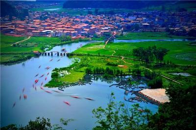 就爱去云南丨七彩云南，天然氧吧，云南5地“中国天然氧吧”等你来打卡！