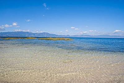 即刻出发，打卡抚仙湖冬日限定美景！  