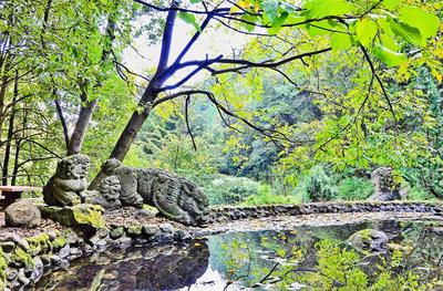 【喜讯】剑川千狮山（满贤林）景区晋升国家4A级旅游景区